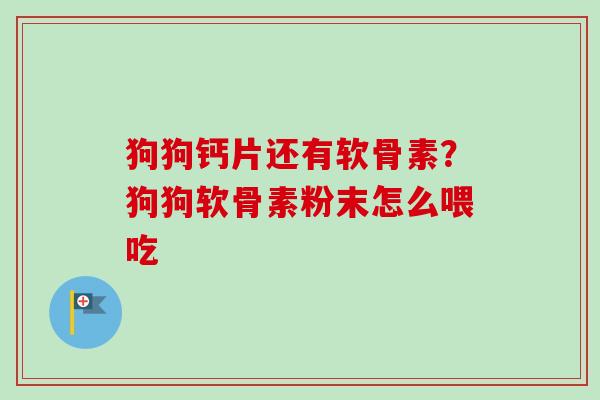 狗狗钙片还有软骨素？狗狗软骨素粉末怎么喂吃