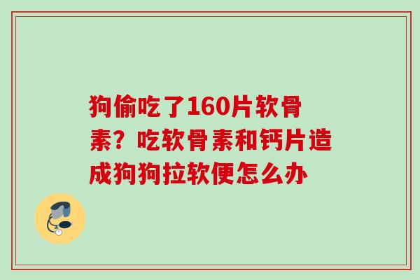 狗偷吃了160片软骨素？吃软骨素和钙片造成狗狗拉软便怎么办