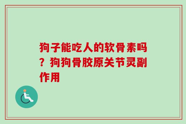 狗子能吃人的软骨素吗？狗狗骨胶原关节灵副作用