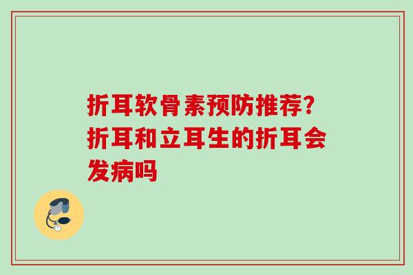 折耳软骨素预防推荐？折耳和立耳生的折耳会发病吗