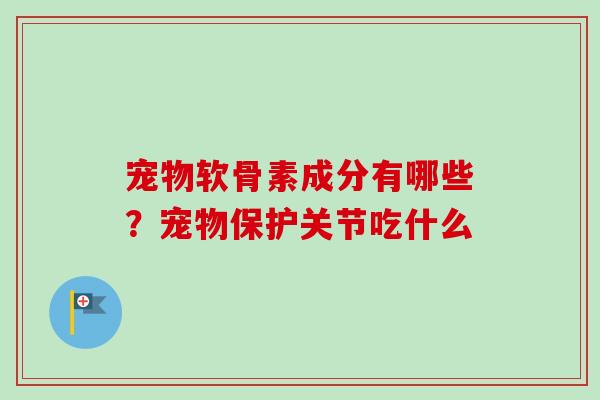 宠物软骨素成分有哪些？宠物保护关节吃什么