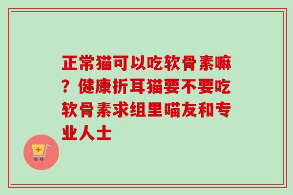 正常猫可以吃软骨素嘛？健康折耳猫要不要吃软骨素求组里喵友和专业人士