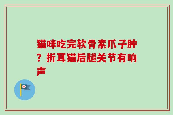 猫咪吃完软骨素爪子肿？折耳猫后腿关节有响声