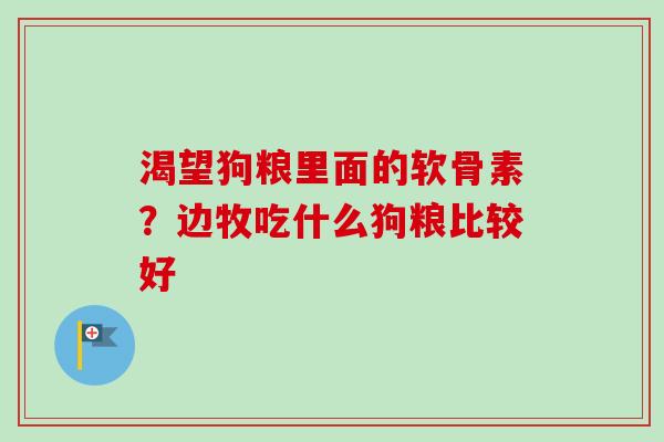渴望狗粮里面的软骨素？边牧吃什么狗粮比较好