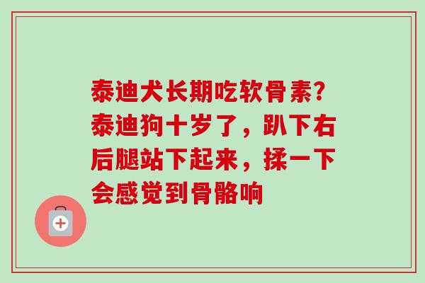 泰迪犬长期吃软骨素?泰迪狗十岁了,趴下右后腿站下起来,揉一下会感觉到骨骼响 泰迪犬长期吃软骨素?泰迪狗十岁了,趴下右后腿站下起来,揉一下会感觉到骨骼响