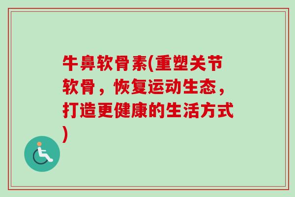 牛鼻软骨素(重塑关节软骨，恢复运动生态，打造更健康的生活方式)