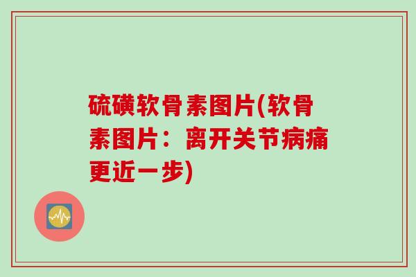 硫磺软骨素图片(软骨素图片：离开关节病痛更近一步)