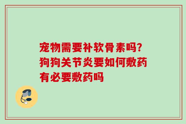 宠物需要补软骨素吗？狗狗关节炎要如何敷药有必要敷药吗