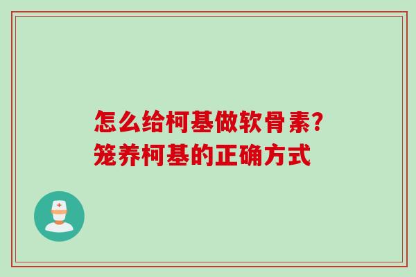 怎么给柯基做软骨素?笼养柯基的正确方式 怎么给柯基做软骨素?笼养柯基的正确方式