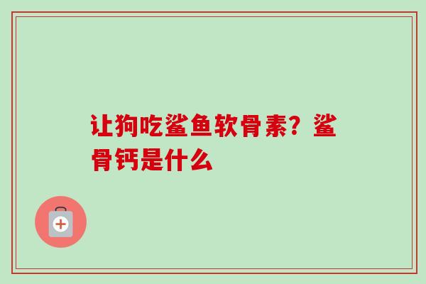 让狗吃鲨鱼软骨素？鲨骨钙是什么