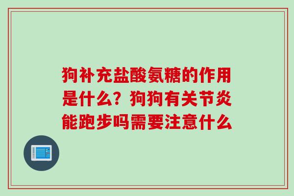 狗补充盐酸氨糖的作用是什么？狗狗有关节炎能跑步吗需要注意什么