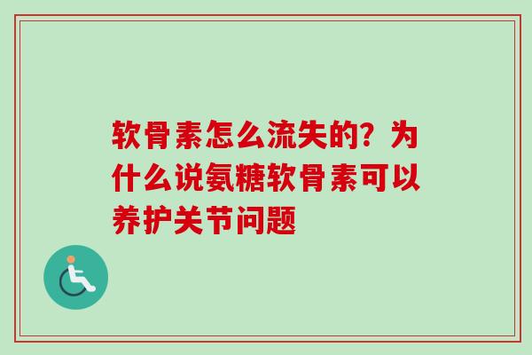 软骨素怎么流失的？为什么说氨糖软骨素可以养护关节问题
