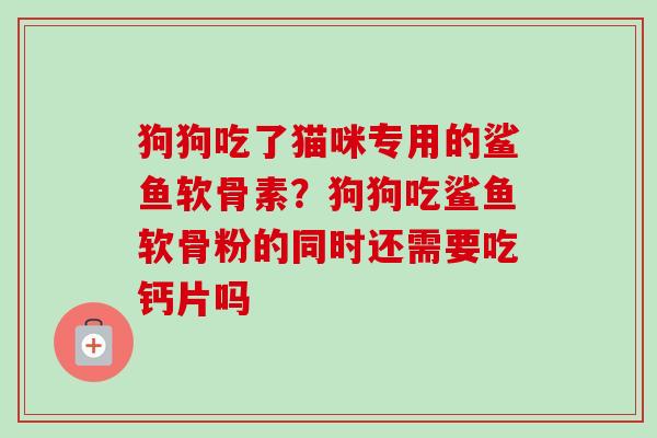 狗狗吃了猫咪专用的鲨鱼软骨素？狗狗吃鲨鱼软骨粉的同时还需要吃钙片吗