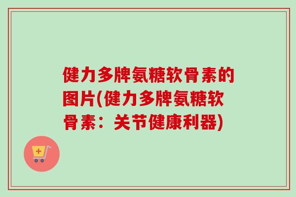 健力多牌氨糖软骨素的图片(健力多牌氨糖软骨素：关节健康利器)