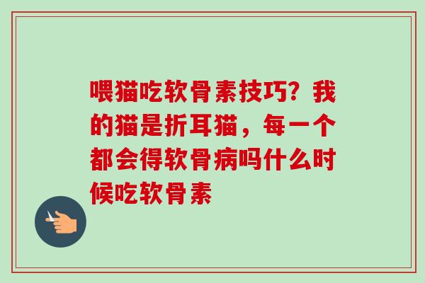 喂猫吃软骨素技巧？我的猫是折耳猫，每一个都会得软骨病吗什么时候吃软骨素