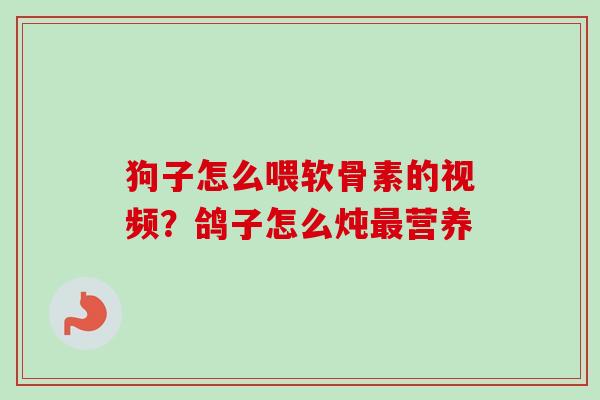 狗子怎么喂软骨素的视频？鸽子怎么炖最营养