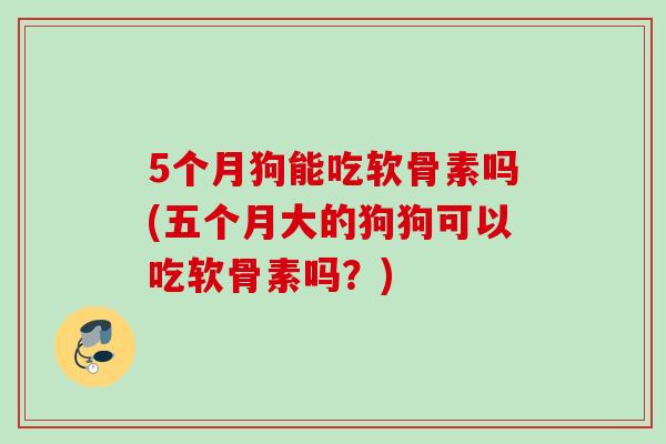 5个月狗能吃软骨素吗(五个月大的狗狗可以吃软骨素吗？)