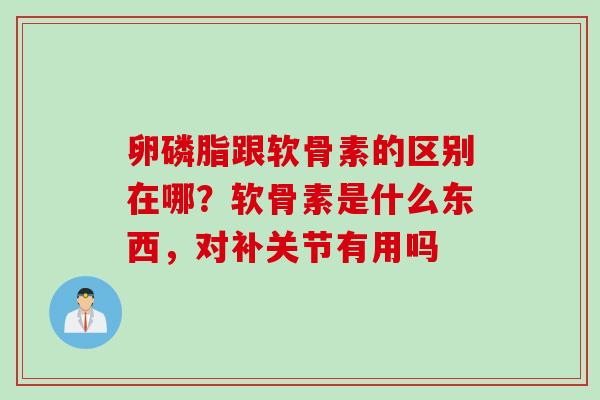 卵磷脂跟软骨素的区别在哪？软骨素是什么东西，对补关节有用吗