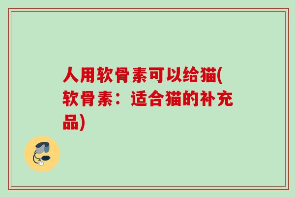 人用软骨素可以给猫(软骨素：适合猫的补充品)
