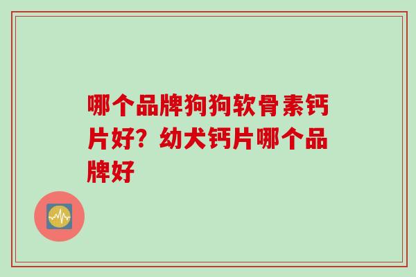 哪个品牌狗狗软骨素钙片好？幼犬钙片哪个品牌好