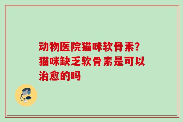 动物医院猫咪软骨素？猫咪缺乏软骨素是可以治愈的吗