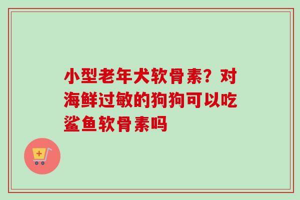 小型老年犬软骨素？对海鲜过敏的狗狗可以吃鲨鱼软骨素吗