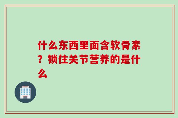 什么东西里面含软骨素？锁住关节营养的是什么
