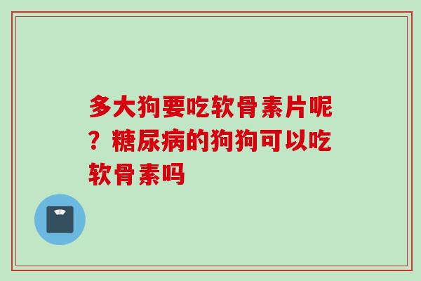 多大狗要吃软骨素片呢？糖尿病的狗狗可以吃软骨素吗