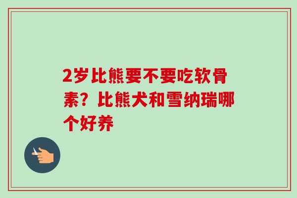 2岁比熊要不要吃软骨素？比熊犬和雪纳瑞哪个好养