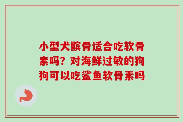 小型犬髌骨适合吃软骨素吗？对海鲜过敏的狗狗可以吃鲨鱼软骨素吗