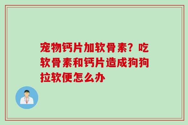 宠物钙片加软骨素？吃软骨素和钙片造成狗狗拉软便怎么办