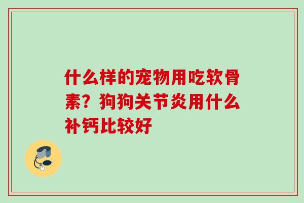 什么样的宠物用吃软骨素？狗狗关节炎用什么补钙比较好