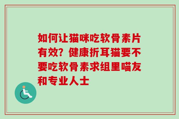 如何让猫咪吃软骨素片有效？健康折耳猫要不要吃软骨素求组里喵友和专业人士
