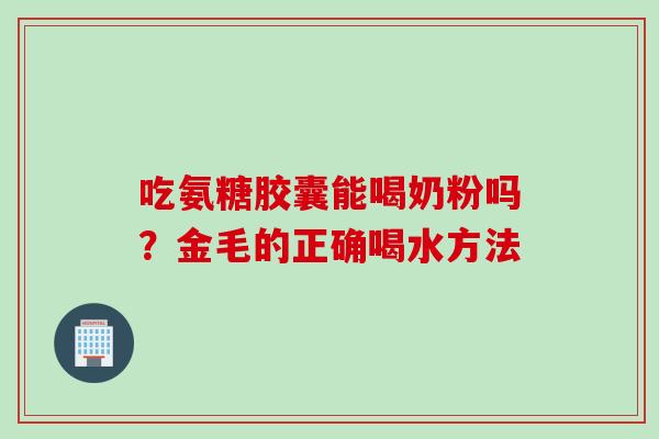 吃氨糖胶囊能喝奶粉吗？金毛的正确喝水方法