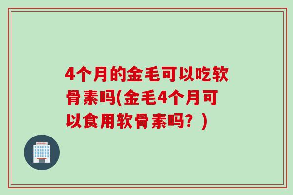 4个月的金毛可以吃软骨素吗(金毛4个月可以食用软骨素吗？)