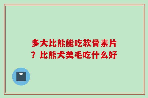 多大比熊能吃软骨素片？比熊犬美毛吃什么好