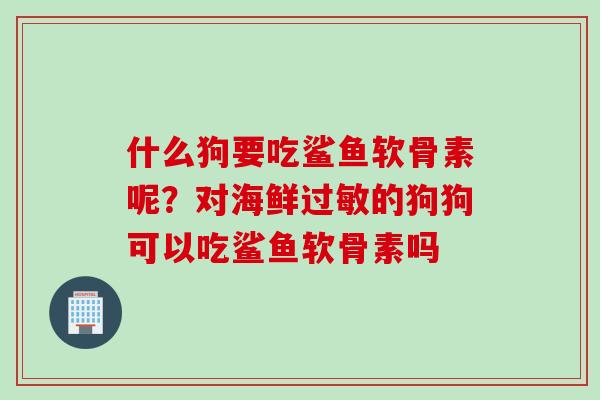 什么狗要吃鲨鱼软骨素呢?对海鲜的狗狗可以吃鲨鱼软骨素吗 什么狗要吃鲨鱼软骨素呢?对海鲜的狗狗可以吃鲨鱼软骨素吗