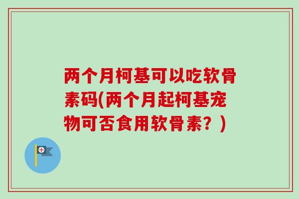 两个月柯基可以吃软骨素码(两个月起柯基宠物可否食用软骨素？)