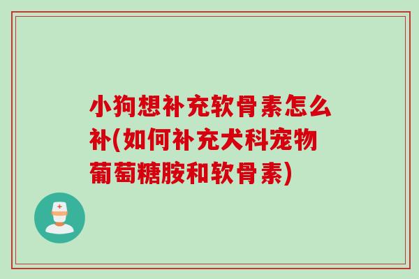 小狗想补充软骨素怎么补(如何补充犬科宠物葡萄糖胺和软骨素)