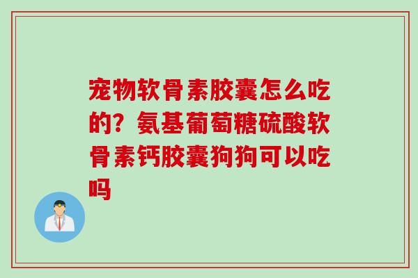 宠物软骨素胶囊怎么吃的？氨基葡萄糖硫酸软骨素钙胶囊狗狗可以吃吗