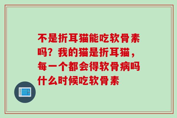 不是折耳猫能吃软骨素吗？我的猫是折耳猫，每一个都会得软骨病吗什么时候吃软骨素