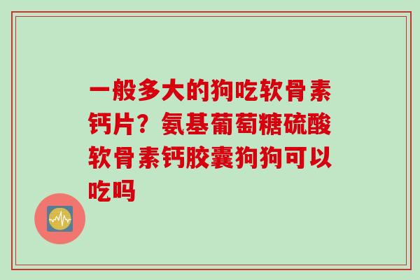 一般多大的狗吃软骨素钙片？氨基葡萄糖硫酸软骨素钙胶囊狗狗可以吃吗