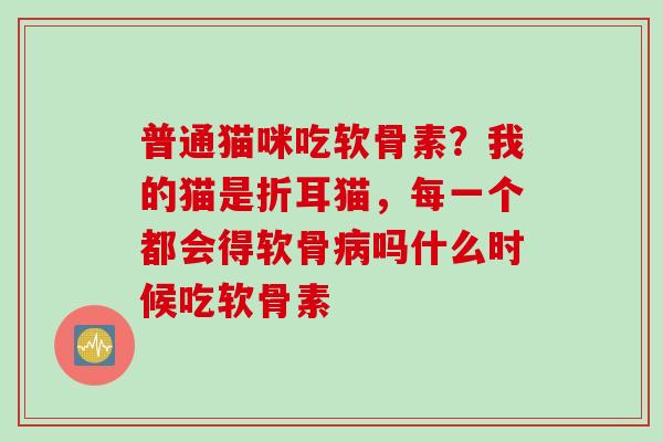 普通猫咪吃软骨素？我的猫是折耳猫，每一个都会得软骨病吗什么时候吃软骨素