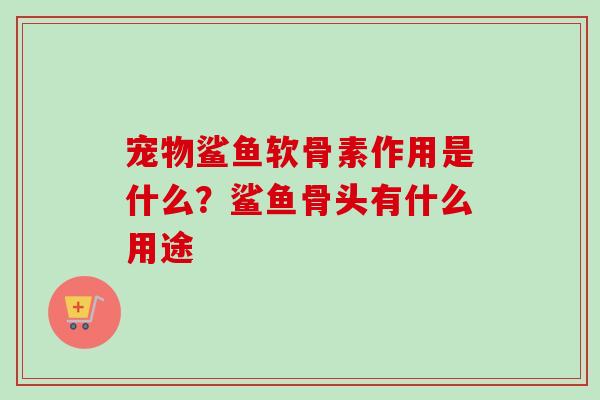 宠物鲨鱼软骨素作用是什么？鲨鱼骨头有什么用途