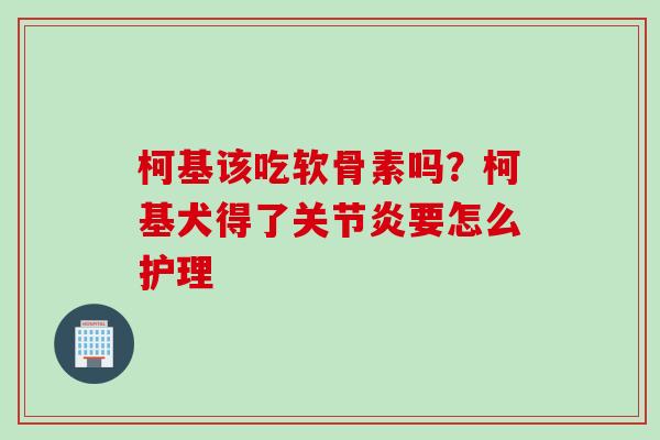柯基该吃软骨素吗？柯基犬得了关节炎要怎么护理