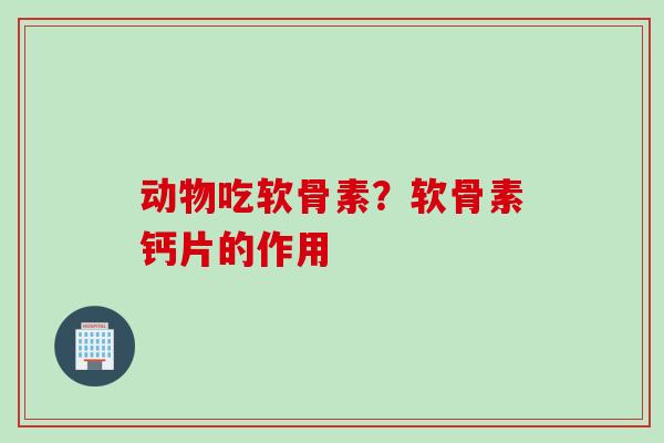 动物吃软骨素？软骨素钙片的作用