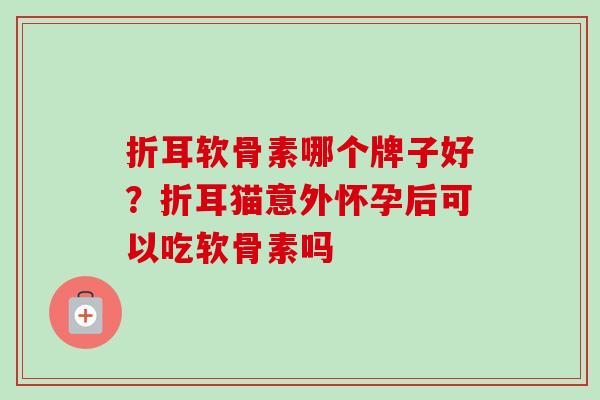 折耳软骨素哪个牌子好？折耳猫意外怀孕后可以吃软骨素吗