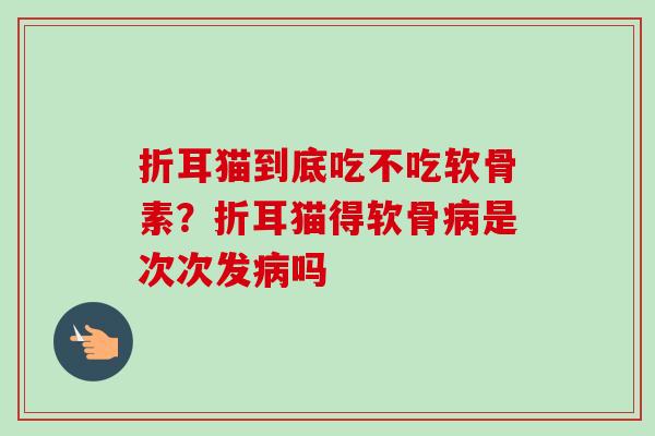 折耳猫到底吃不吃软骨素？折耳猫得软骨病是次次发病吗