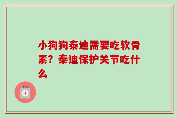 小狗狗泰迪需要吃软骨素？泰迪保护关节吃什么