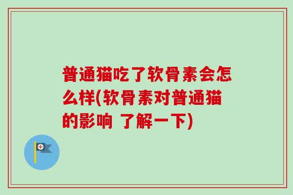 普通猫吃了软骨素会怎么样(软骨素对普通猫的影响 了解一下)